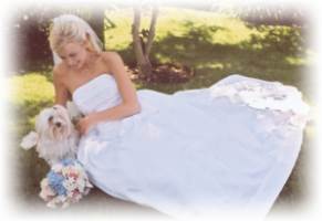 Havanese are great with kids