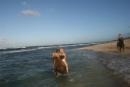 Havanese dogs in Hawaii and Britich Columbia