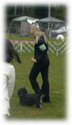 Emily recently competed in the Junior Handling