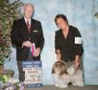 Champion SalidaDelSol Chixi d'MistyTrails Littermate Cheena