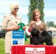 Champion MistyTrails Mojo at Rednettle