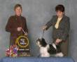 Champion SalidaDelSol Chixi d'MistyTrails