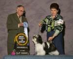 Champion SalidaDelSol Chixi d'MistyTrails