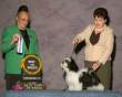 Champion SalidaDelSol Chixi d'MistyTrails