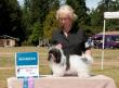 Dallie's sister MistyTrails I'da  Gal -  