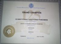 CKC Champion  MistyTrails n'Bopcha's  Pandamon