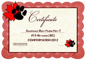 Champion Seantiago Remy Martin d'MistyTrails