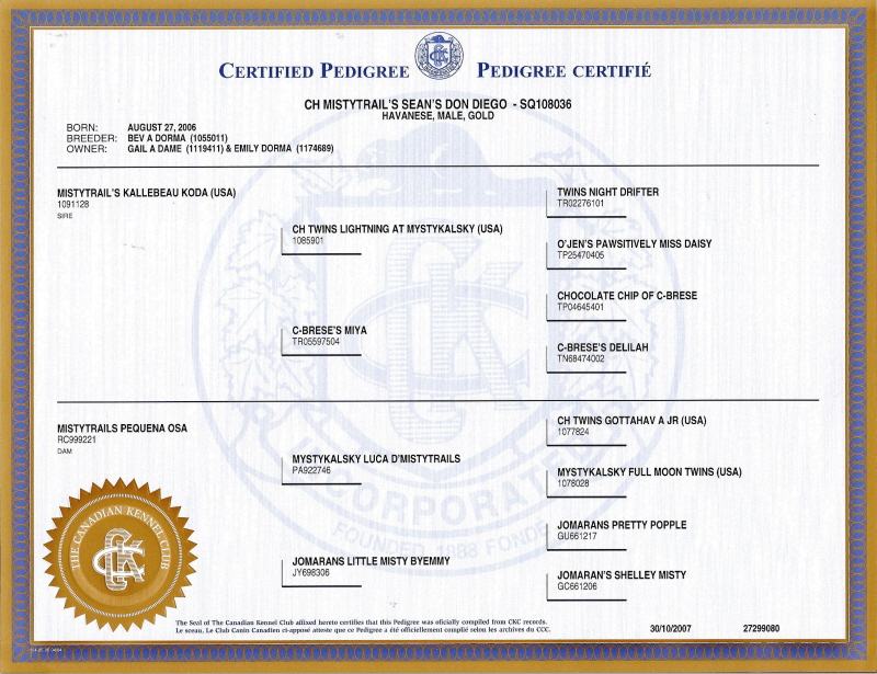 Diego's Pedigree