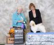 Champion MistyTrails Arklands Desi Arnaz