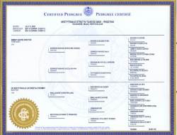 Santino's Pedigree