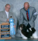 CHAMPION MystykalSky Wyzrd dMistyTrails