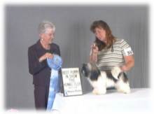 Best Puppy in Show, Female