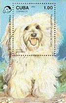 Cuba chose the Havanese to grace a 1992 souvenir issue postage stamp.
